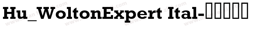 Hu_WoltonExpert Ital字体转换